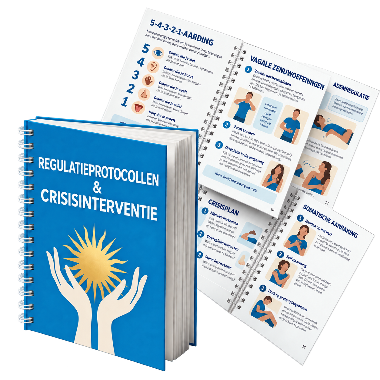 Regulatieprotocollen en crisisinterventie