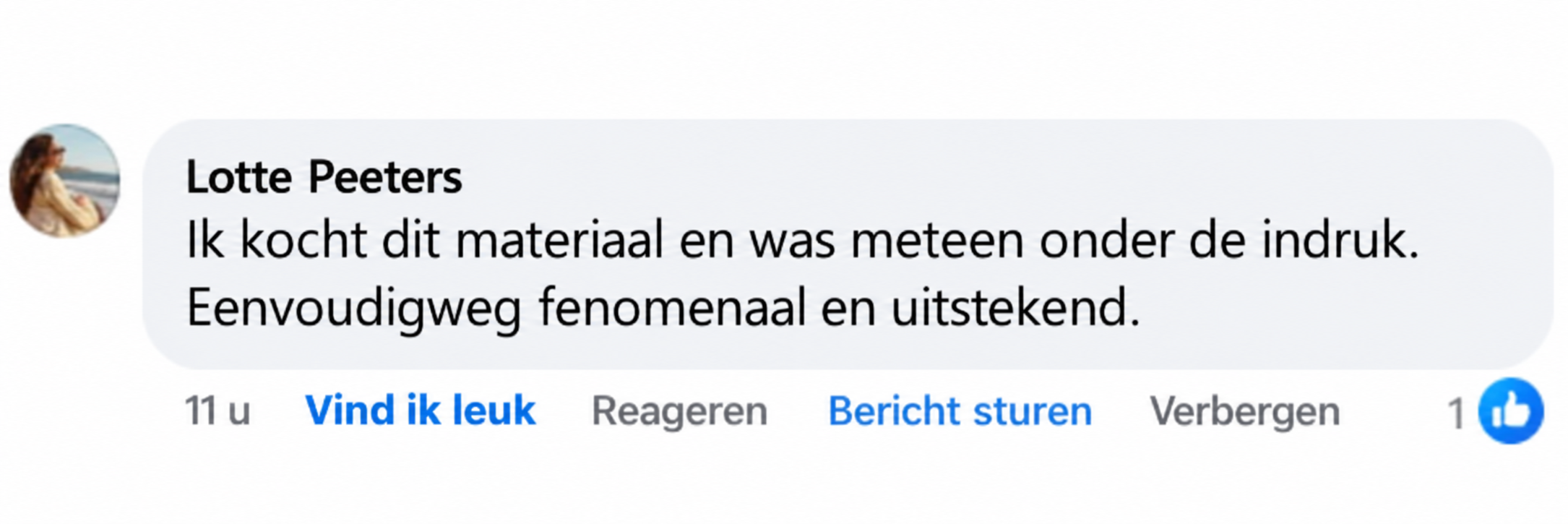 Nederlandstalige recensie van Lotte Peeters